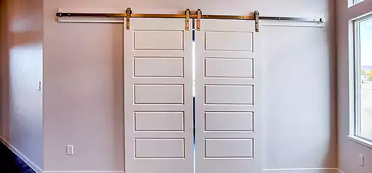 Glass Barn Door with Installation Hardware Kit Amherst Center