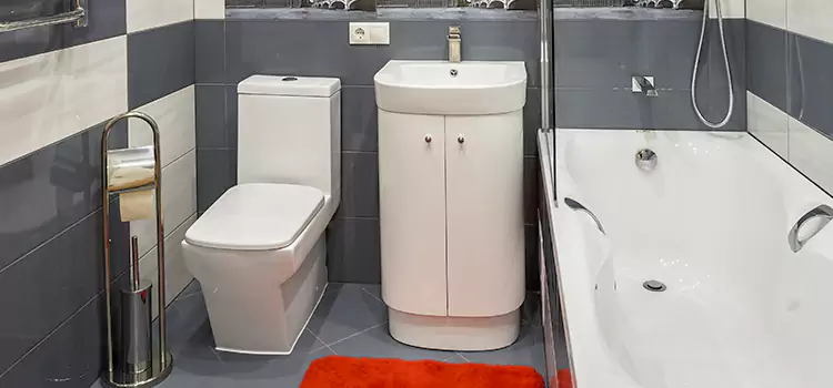 Hansgrohe Shaving Mirror Amherst Center